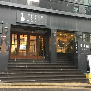 Petercat Shinchon *** Seoul
